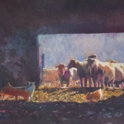 459551497_902607488568039_5699772891055722667_n